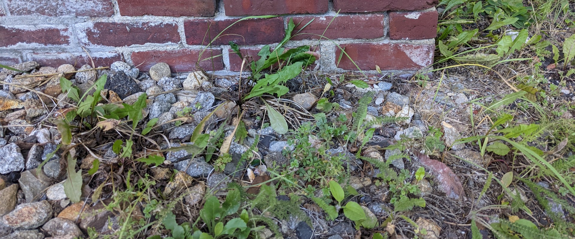 Everything You Need to Know About Brick Foundations