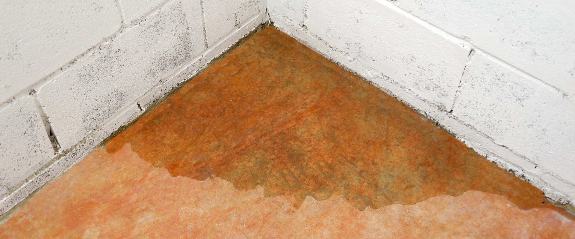 Understanding Excess Moisture in Basements and Its Impact on Foundation Damage