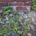 Everything You Need to Know About Brick Foundations