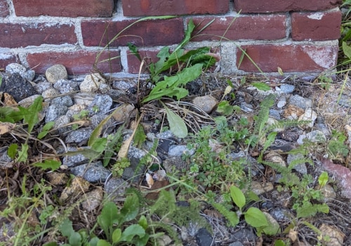 Everything You Need to Know About Brick Foundations