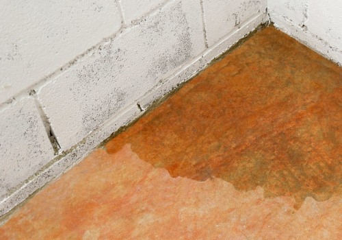 Understanding Excess Moisture in Basements and Its Impact on Foundation Damage